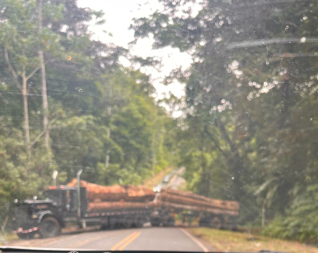 ¿Qué está pasando en Gandoca Manzanillo? Lo que sabemos hasta ahora.