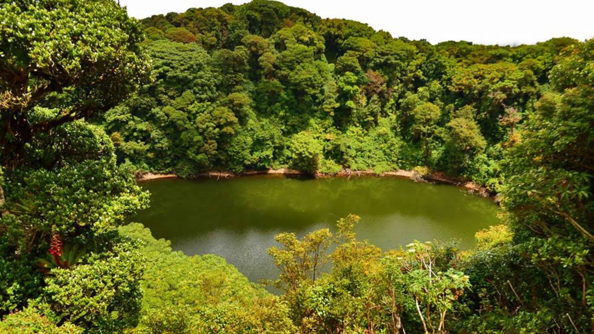Temporary Closure of the Volcán Barva Sector: Impact of the Dry Season